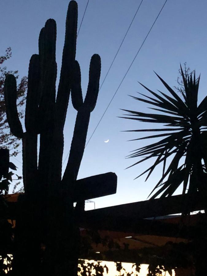 La Casita Del Cactus - Casa De Campo Con Piscina アルカラ・デ・グアダイラ エクステリア 写真