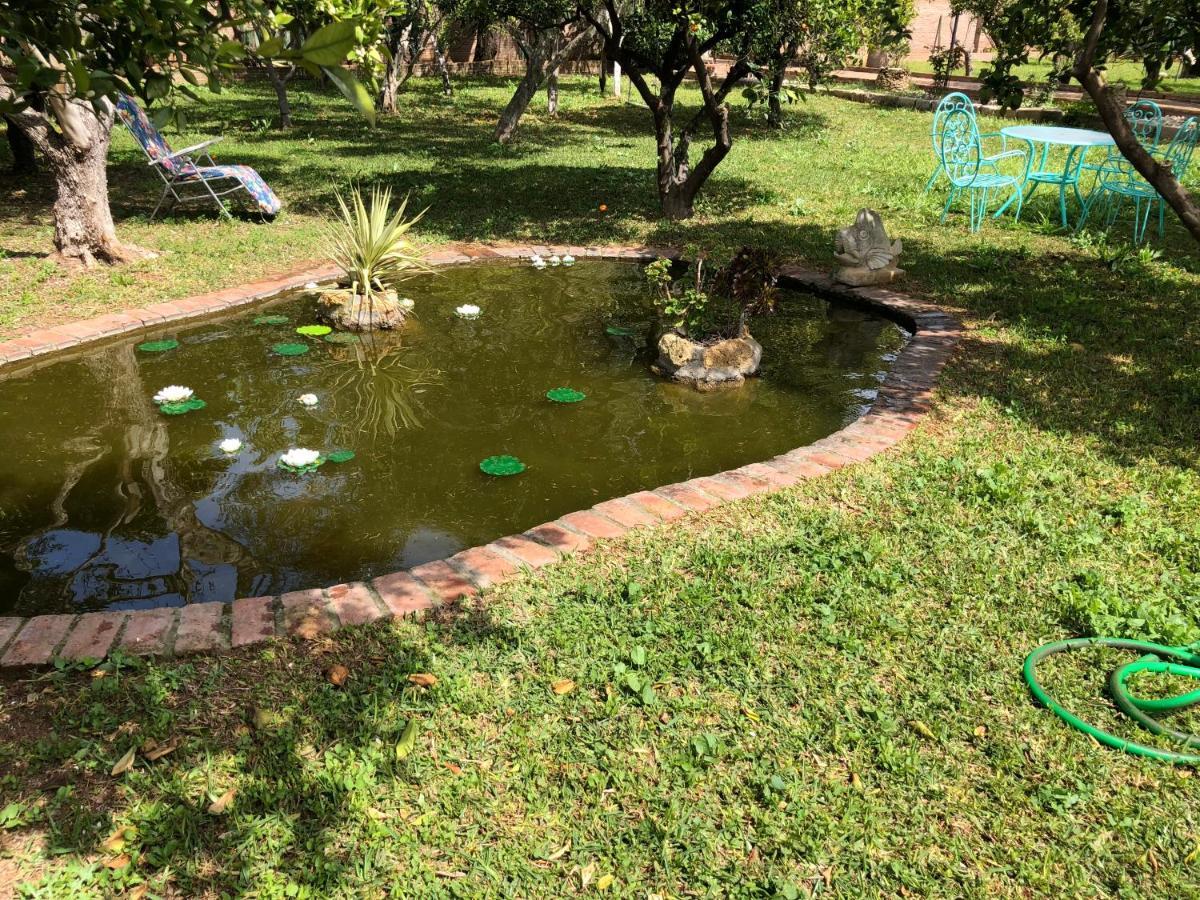 La Casita Del Cactus - Casa De Campo Con Piscina アルカラ・デ・グアダイラ エクステリア 写真