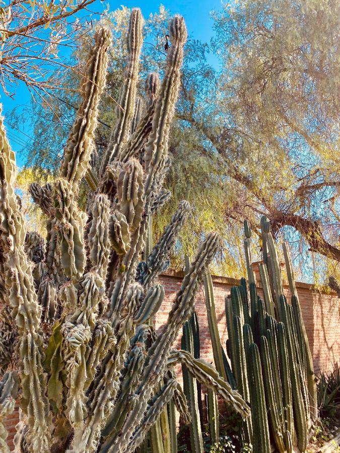 La Casita Del Cactus - Casa De Campo Con Piscina アルカラ・デ・グアダイラ エクステリア 写真