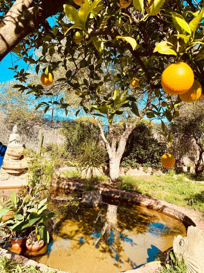 La Casita Del Cactus - Casa De Campo Con Piscina アルカラ・デ・グアダイラ エクステリア 写真